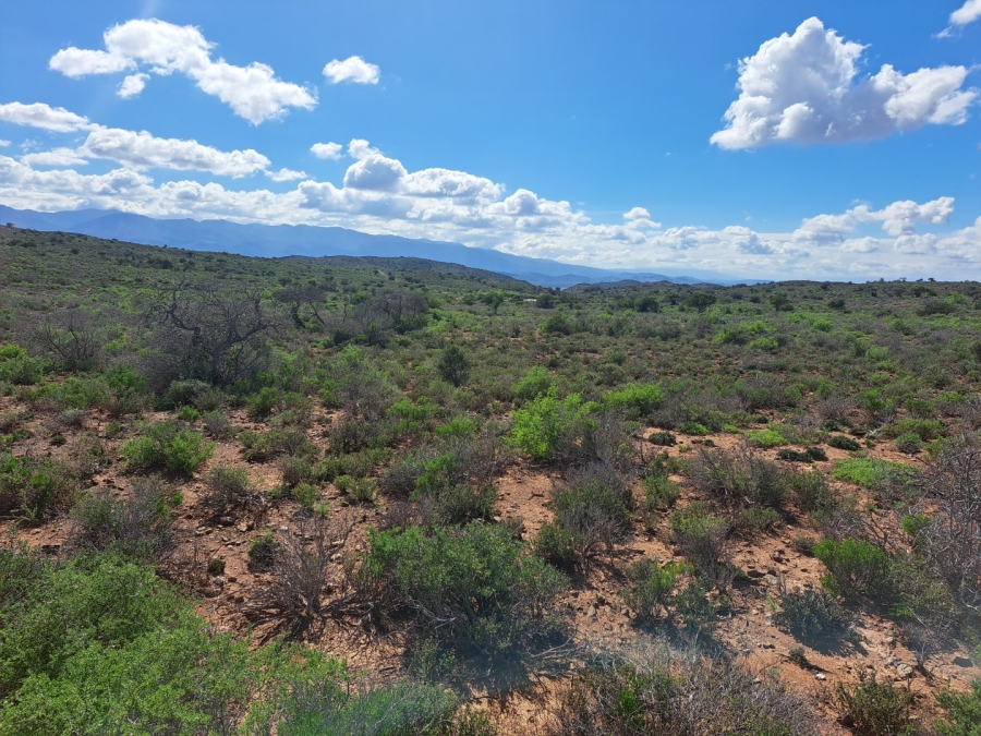  Bedroom Property for Sale in Van Wyksdorp Western Cape